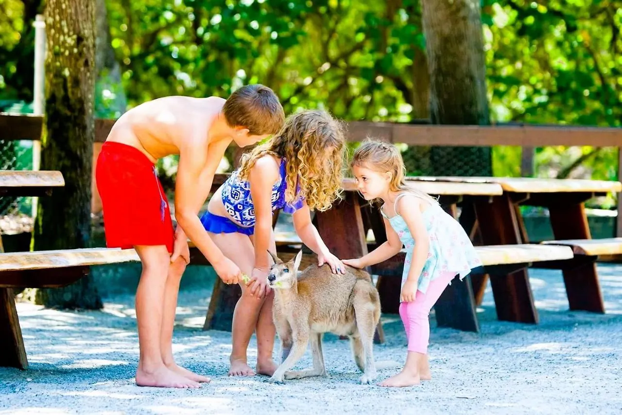 Coomera Houseboats Gold Coast